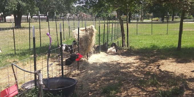 Farms in Houston