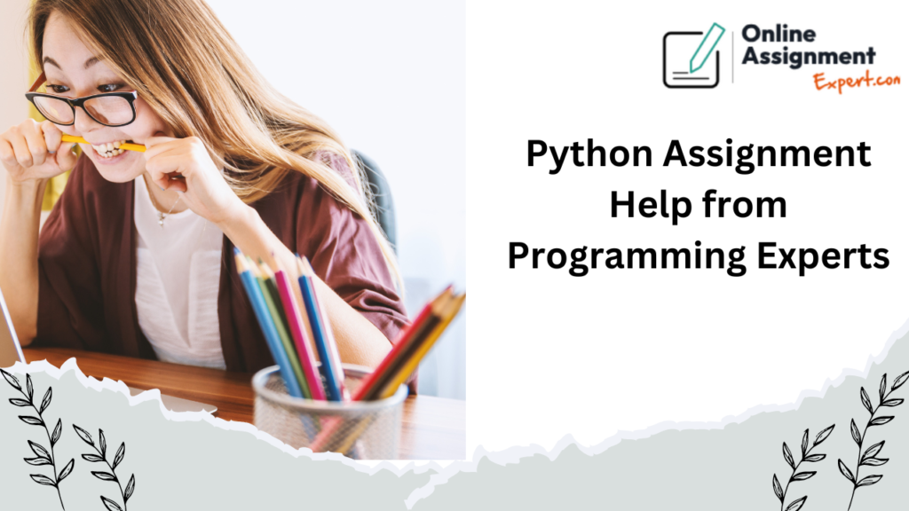 Expert Python Assignment Assistance