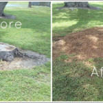 Stump Grinding