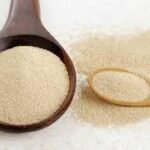 Global Yeast Market Size Forecast Report 2024-2030