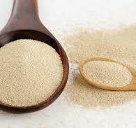 Global Yeast Market Size Forecast Report 2024-2030