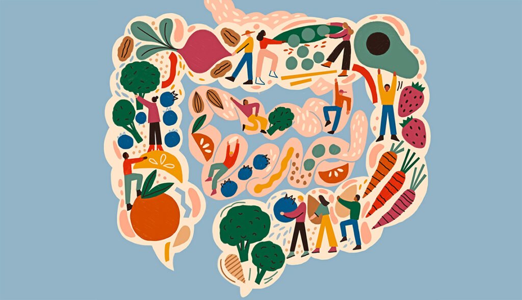 A healthy gut filled with fiber rich foods