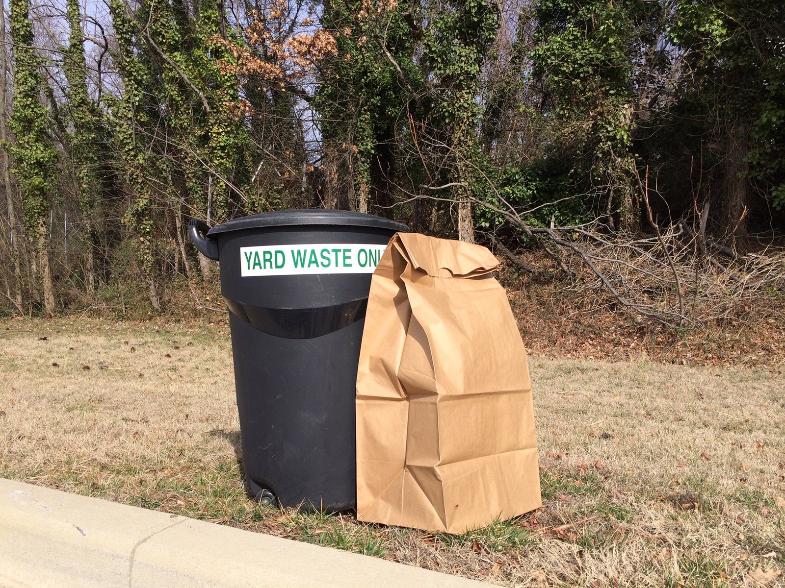 yard waste removal services in Oakhurst