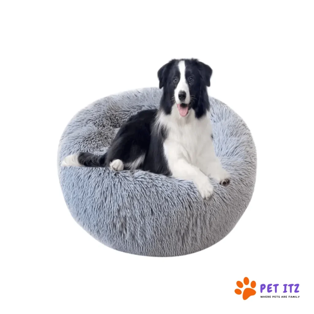 Discover the Perfect Luxury Pet Bed for Your Furry Friend