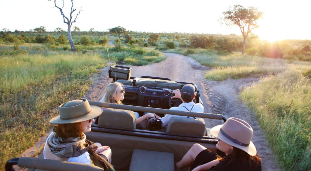 kruger national park safari